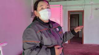 картинка: 06  ӨВЛИЙН ХҮЛЭМЖ