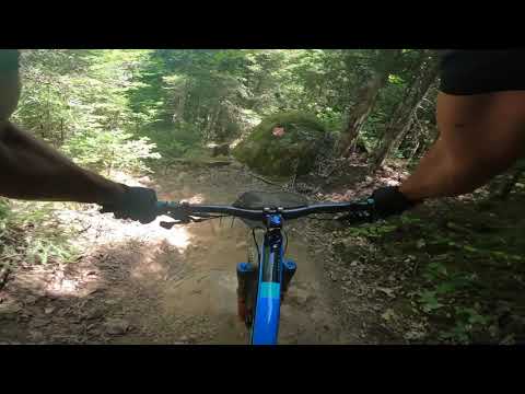 Stage 3 -