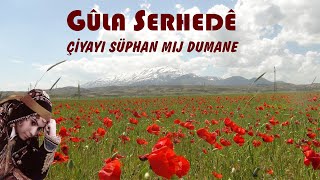 Güla Serhede - Çiyayı Süphan Mıj Dumane / Kürtçe Uzun Hava Dertli Türküler Dengbeji Stranén Kurdî Resimi