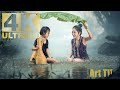 ASIAN MUSIC WITH THE SOUNDS OF RAIN WILL ENERGY EACH CELL OF YOUR BODY. 4K VIDEO BEST FOR MEDITATION