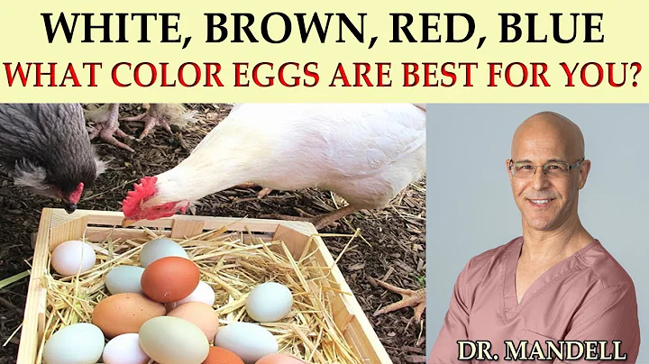 WHAT COLOR EGG IS THE HEALTHIEST?  BROWN vs WHITE    (Dr Alan Mandell, DC)