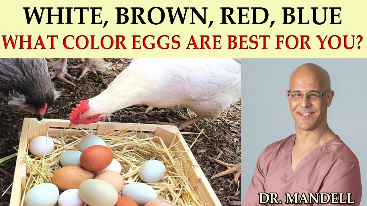 What Color Egg Is The Healthiest? Brown Vs White (Dr Alan Mandell, Dc)