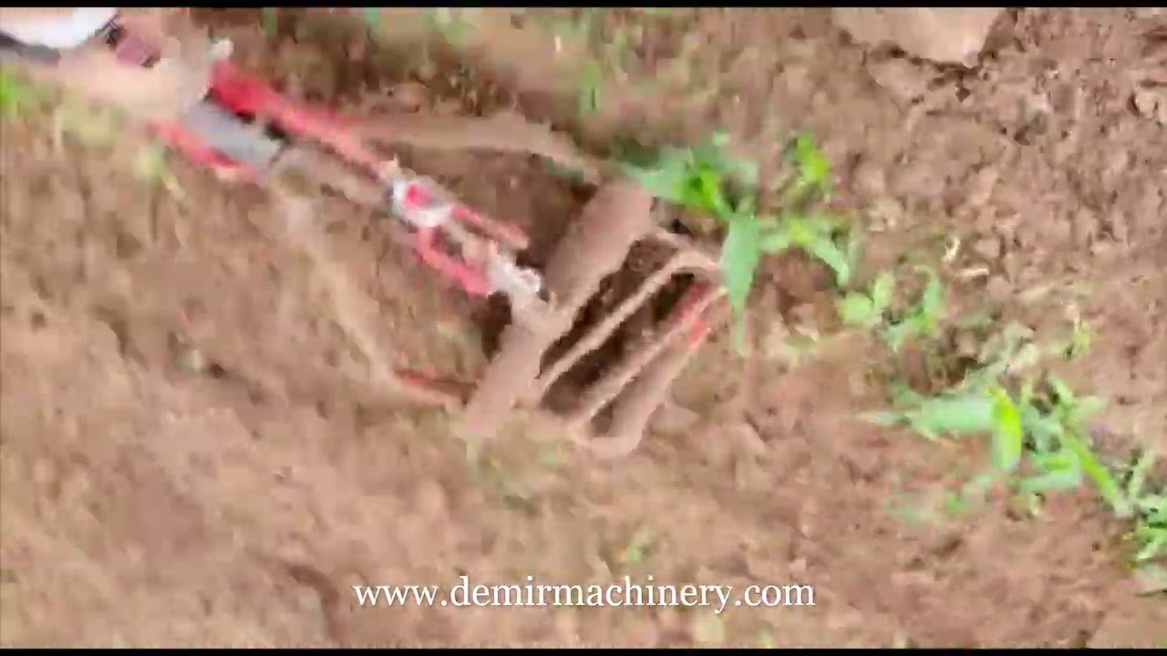 Interrow Fertilizer Cultivator