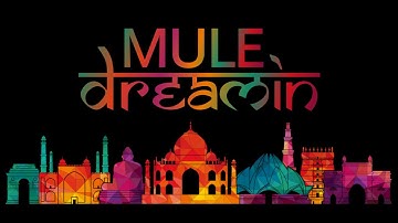 #MuleDreamin2023 || @mulesoftvids