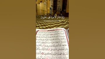 القرآن الكريم من سورة العنكبوت #قرآن #سورة_العنكبوت #إسلام_Islam