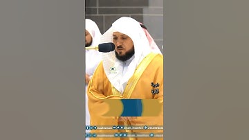 تلاوة فضيلة الشيخ أ.د _#ماهر #_المعيقلي | 🌿 سورة البقرة 🌿