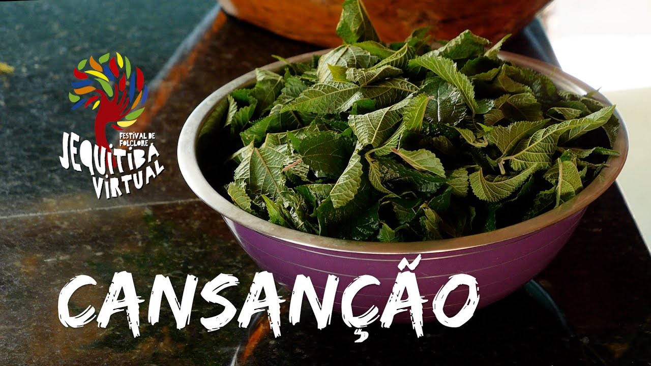 2º dia 10h - Oficina de Gastronomia (Cansanção) - Festival Jequitibá Virtual