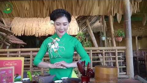 Hướng Dẫn Cách Pha Trà Thái Nguyên - Hải Trà Tân Cương (HTX Tâm Trà Thái)