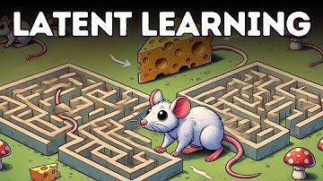 What is Latent Learning? (Explained in 3 Minutes)