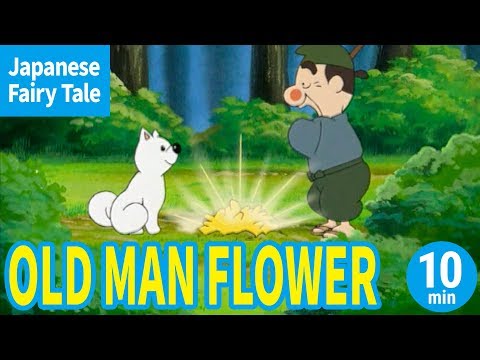 OLD MAN FLOWER (ENGLISH) Animation of Japanese Traditional Stories