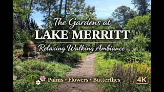 The Gardens at Lake Merritt | Relaxing Walking Ambiance | Palms, Flowers, Butterflies | 4K 120 FPS