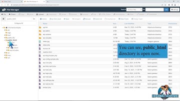 How to create a new file or folder in cPanel File Manager with Hogfish Hosting