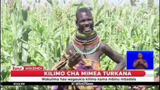 Wakulima 14,000 Turkana wageukia Kilimo na kuacha ufugaji