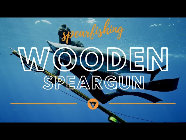 Single vs Double roller Speargun! SPEARFISHING Deep Reef Hawaii. 