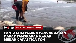 Viral Ikan Kakap Merah Di Tepi Pantai Pangandaran Akis Tvone