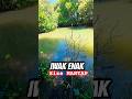 STRIKE LAGI ✌🏻#video #mancing #mancingliar #shortvideo #hiburanlucu #content #wow #adventure #viral