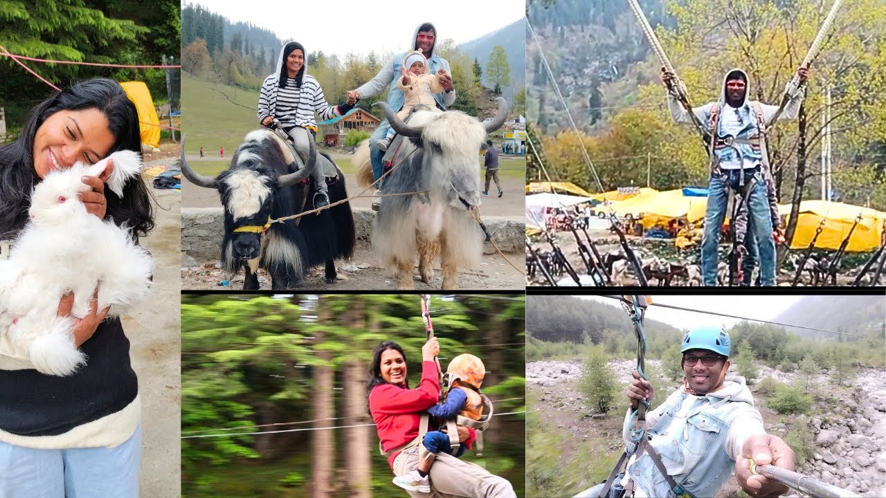 Manali Adventure games| Zip-line | Bunjee Jumping| Yak ride | Rabbit ...