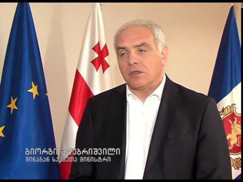 გიორგი მღებრიშვილი ავსტრიის ელჩს შეხვდა