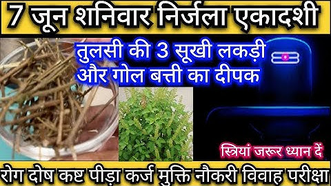 7 🥰💐💥जून शनिवार निर्जला एकादशी को 3 तुलसी सूखी  लकड़ी और एक  दीपक वाला उपाय pradeep mishra ji upay