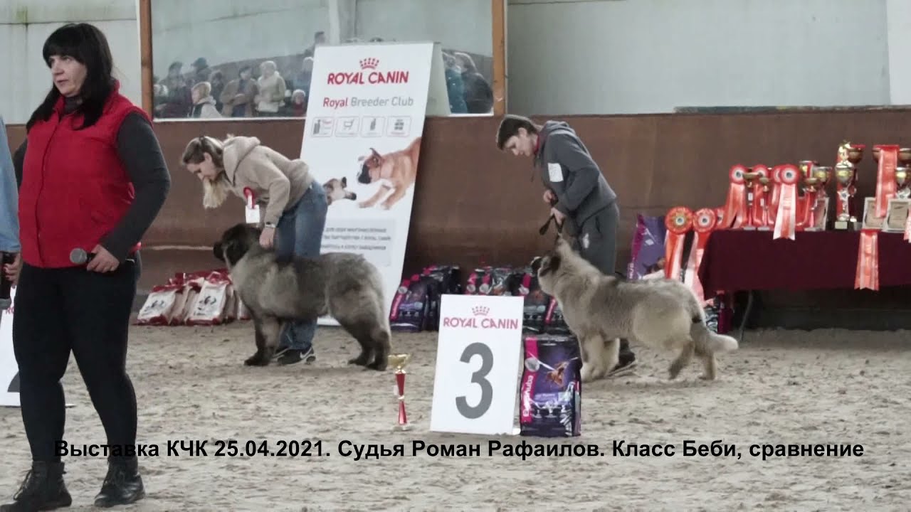 10 апреля 2020, г. Санкт-Петербург