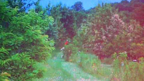 Mark Shepard on Restoration Agriculture