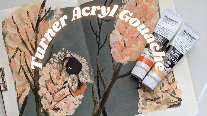 Is this the BEST gouache?  Turner acryl gouache review - Everything you  need to know! 