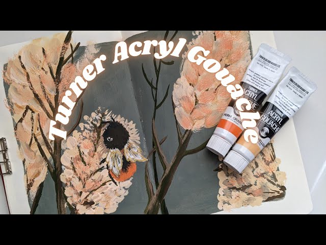 Is this the BEST gouache?  Turner acryl gouache review - Everything you  need to know! 