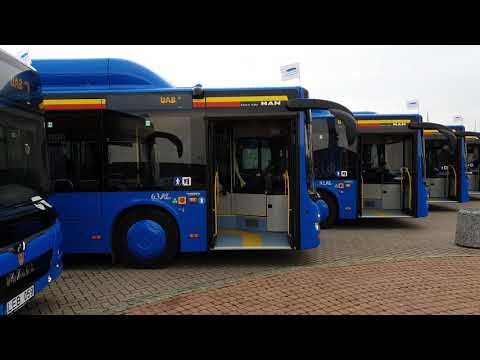 Video: Kaip gauti autobuso licenciją NC?