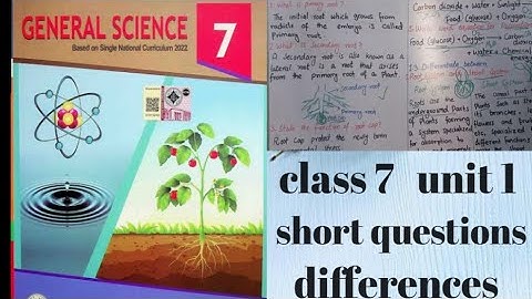 Class 7 Science Unit 1 Plant system short questions PTB