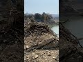 丹沢湖(三保ダム)の水位(2026/03/29時点)