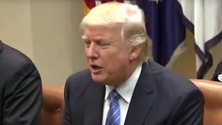 Distaster looming in trump's executive orders