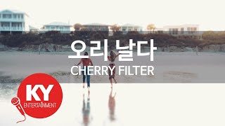 [KY ENTERTAINMENT] 오리 날다 - CHERRY FILTER (KY.9526) / KY Karaoke