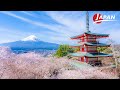Discover Arakurayama Sengen Park: Sakura and Mount Fuji | Yamanashi, Japan Travel