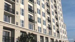 101 Park Place Apartments in Stamford, CT - ForRent.com