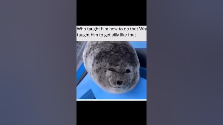 I've never seen such a uwu seal #chroniclesofdahlia #fyp