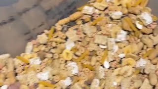 Lets Make Rat Snacks