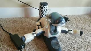7 Days of Aibo ERS 7: Name and Owner Registration