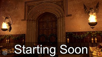 VOD 20.11.24 (Just Chatting, HOI4)