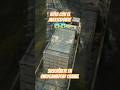 SNOWRUNNER - ruta con el mastodonte #snowrunner #simulator #ps5 #gameplay #shorts #truck