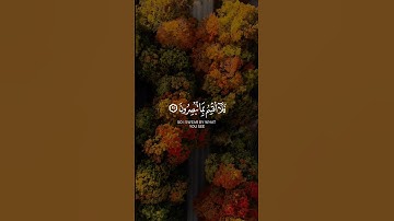فلا أقسم بما تبصرون | أحمد بن طالب حميد #قران #quran #لايك #اكسبلور #راحة_نفسية #تلاوه#القران#كرومات