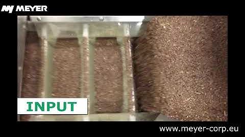 MEYER - Flaxseeds sorting // Sortowanie optyczne lnu