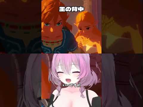 王の背中　#切り抜き　#ゼルダ無双　#厄災の黙示録