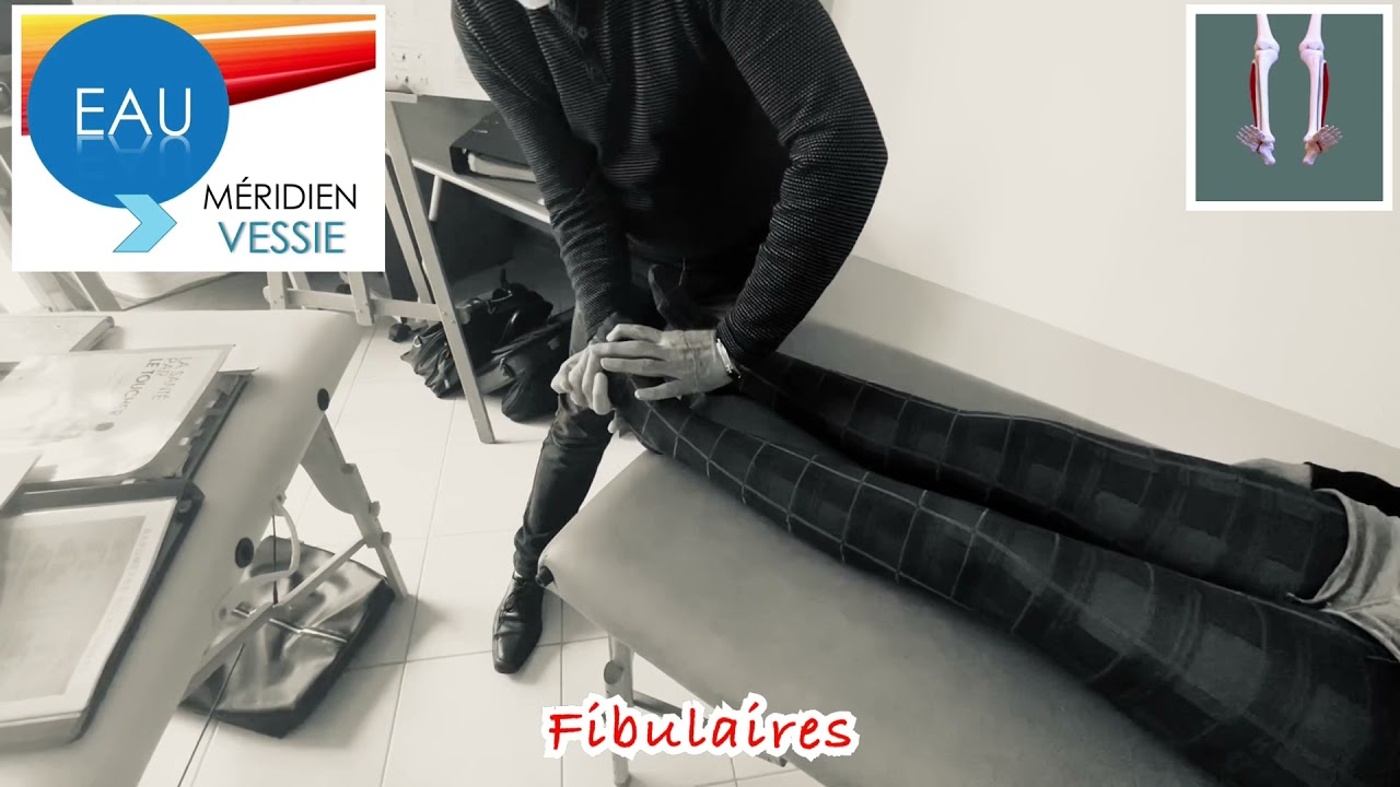 TFH/Santé par le toucher : 14 tests de base