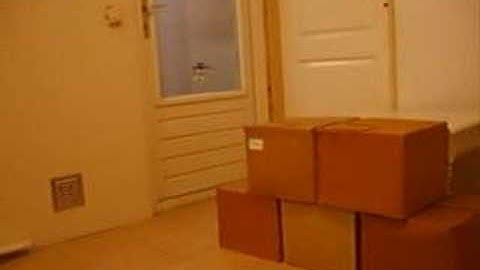 PicooZ first mod flight