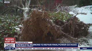 Snow, wind knocking down trees and knocking out power | FOX 13 Seattle