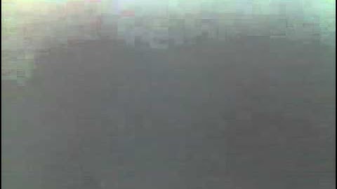 القارئ أحمد بن نجيب السويلم