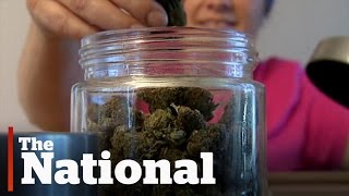 Canada's legal pot industry