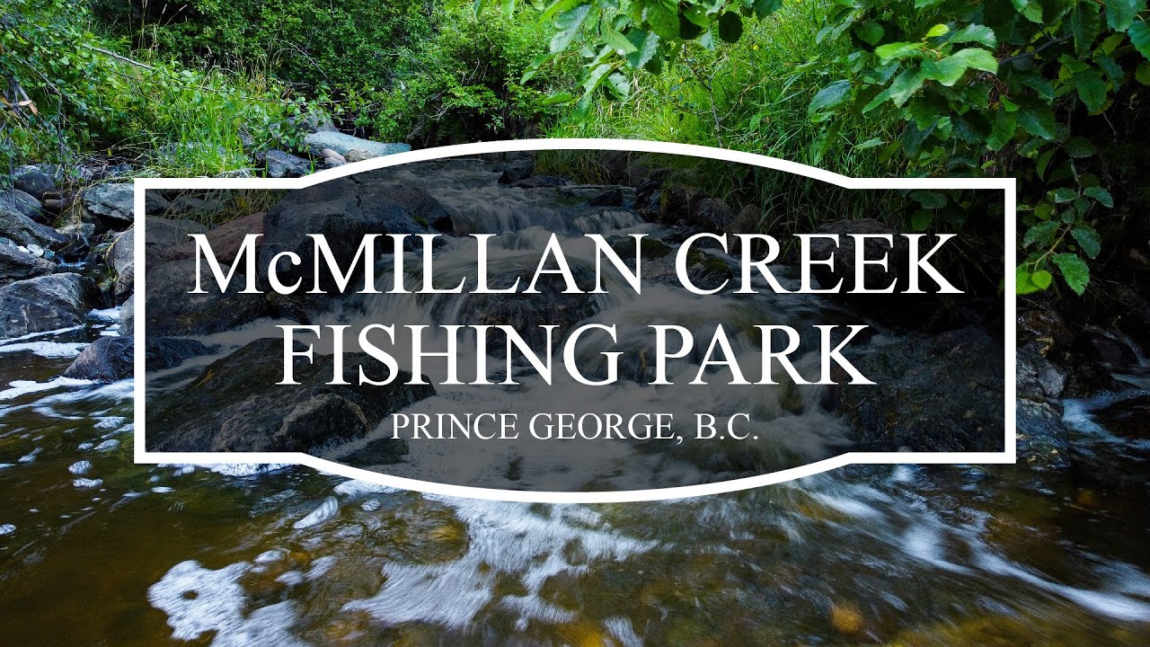 McMillan Creek Fishing Park YouTube