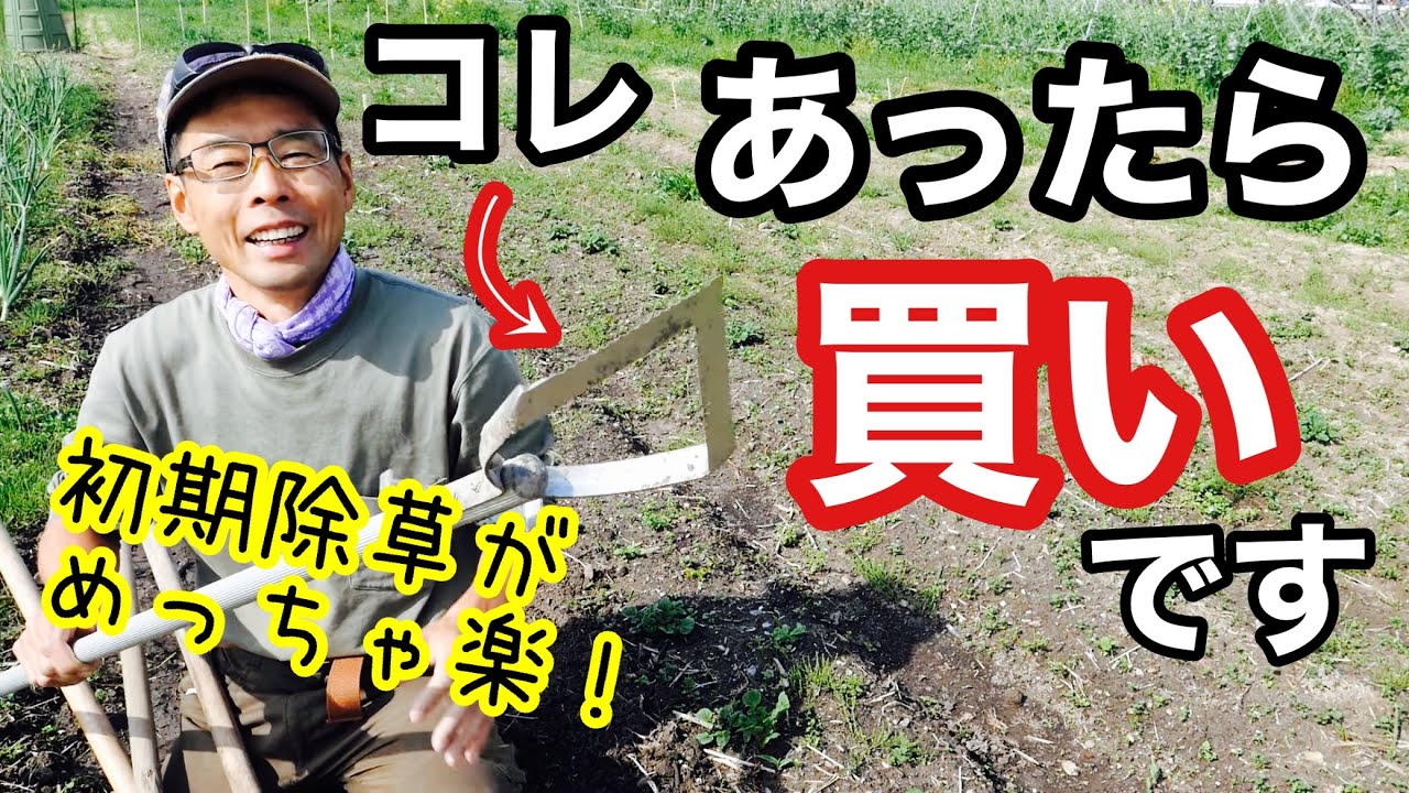 【雑草管理】初期除草が爆速で出来る草削りの特徴紹介と使い方《草刈り/無農薬/除草剤不使用/農具の使い方/三角ホー/雑草削る君シェーバー》