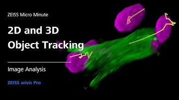 2D and 3D Object Tracking | ZEISS arivis Pro | ZMCC Live Demo | Episode 11